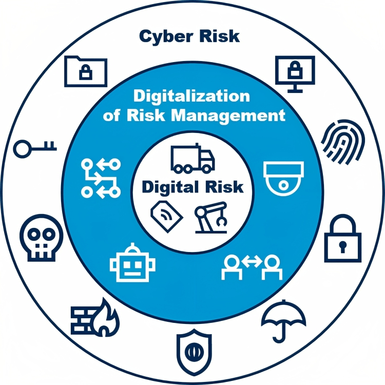 Digital Risk Taxonomy and Customer Protection