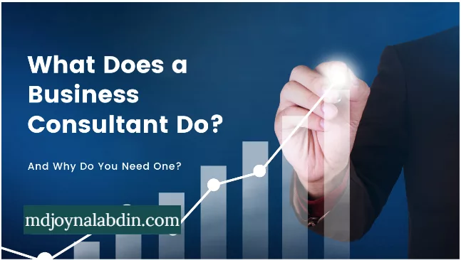 Why do you need a Business Consultant? [Part-1]