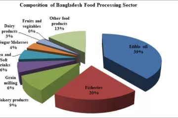 Most Promising Sectors to Investment in Bangladesh